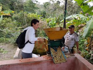 Coffee farm tour bogota